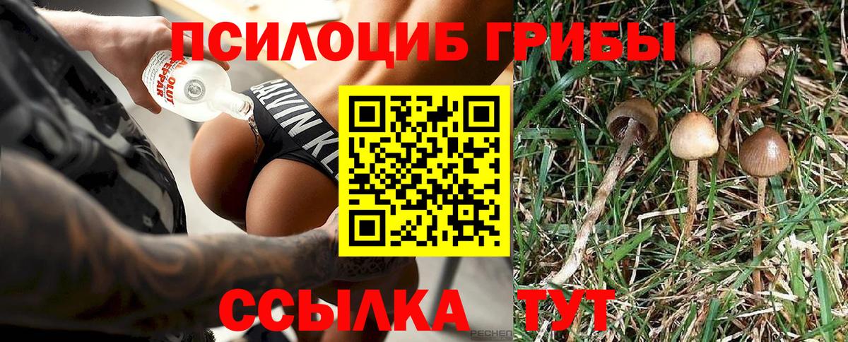 Псилоцибиновые грибы прущие грибы  Вход с VPN  Владикавказ 